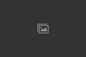 placeholder-12